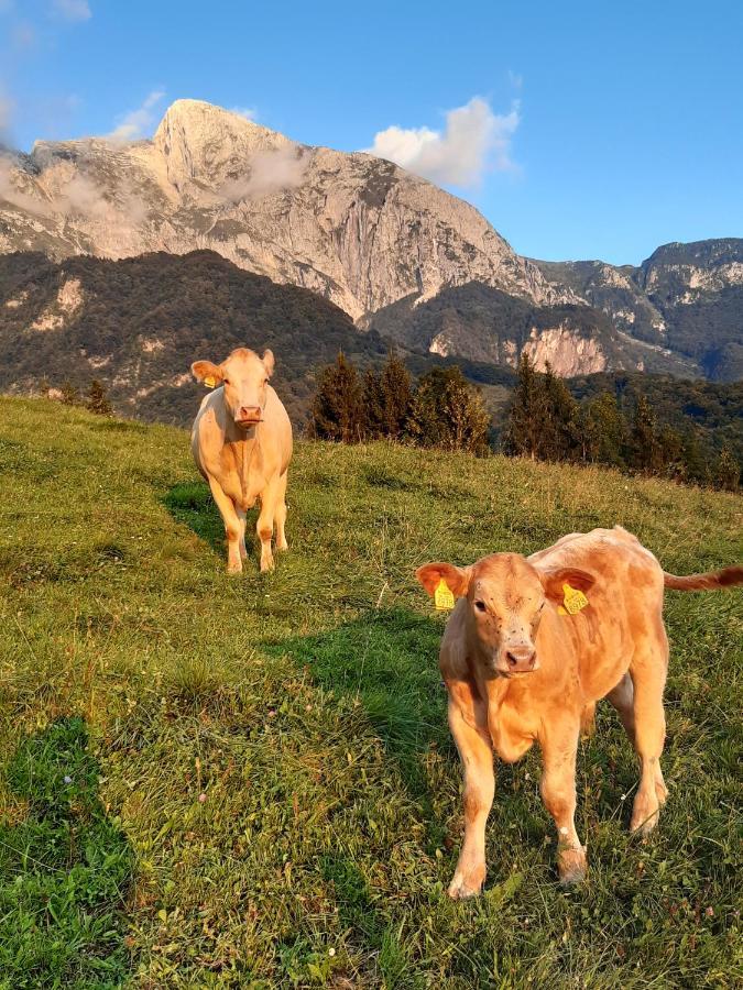 Tourist Farm Zvanc Kobarid Eksteriør billede