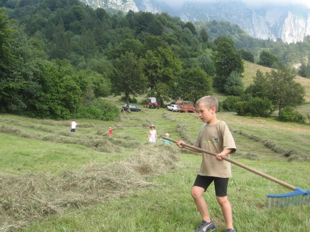 Tourist Farm Zvanc Kobarid Eksteriør billede
